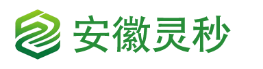 安徽灵秒logo
